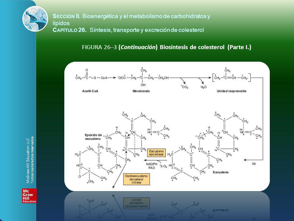 FIGURA 26–3 (Continuación) Biosíntesis de colesterol (Parte I.)