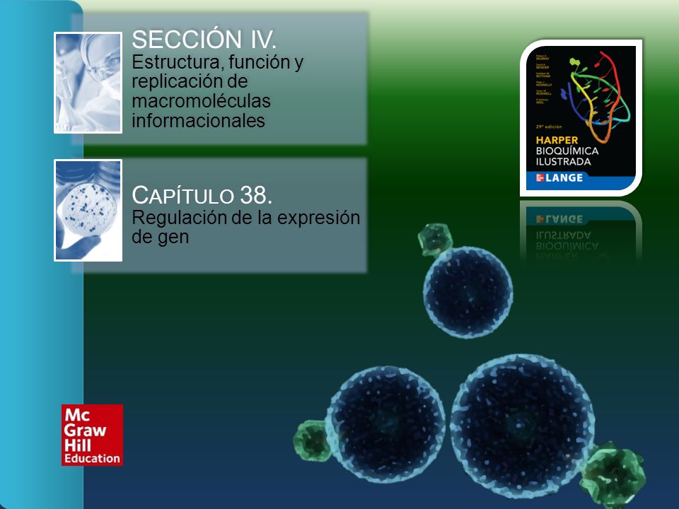 SECCIÓN IV. Estructura, función y replicación de macromoléculas informacionales