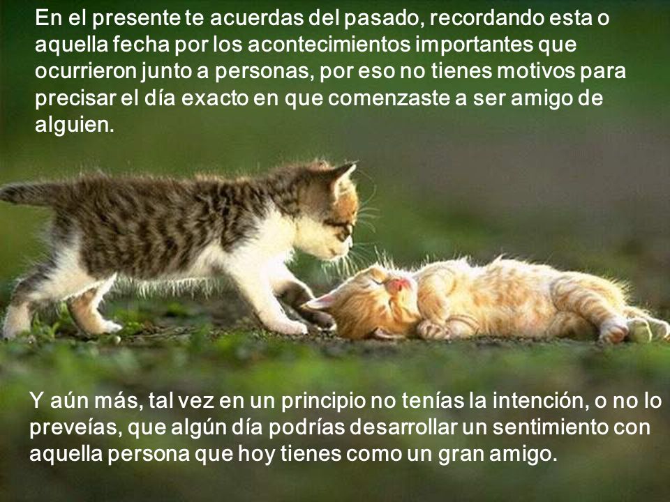 En el presente te acuerdas del pasado, recordando esta o aquella fecha por los acontecimientos importantes que ocurrieron junto a personas, por eso no tienes motivos para precisar el día exacto en que comenzaste a ser amigo de alguien.