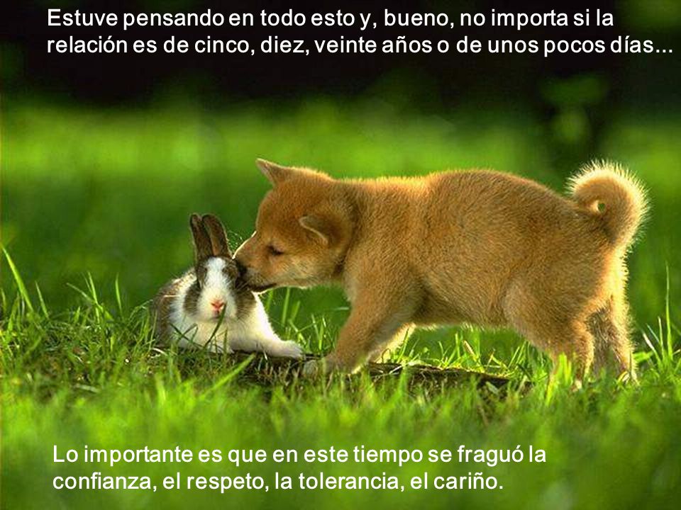 Estuve pensando en todo esto y, bueno, no importa si la relación es de cinco, diez, veinte años o de unos pocos días...