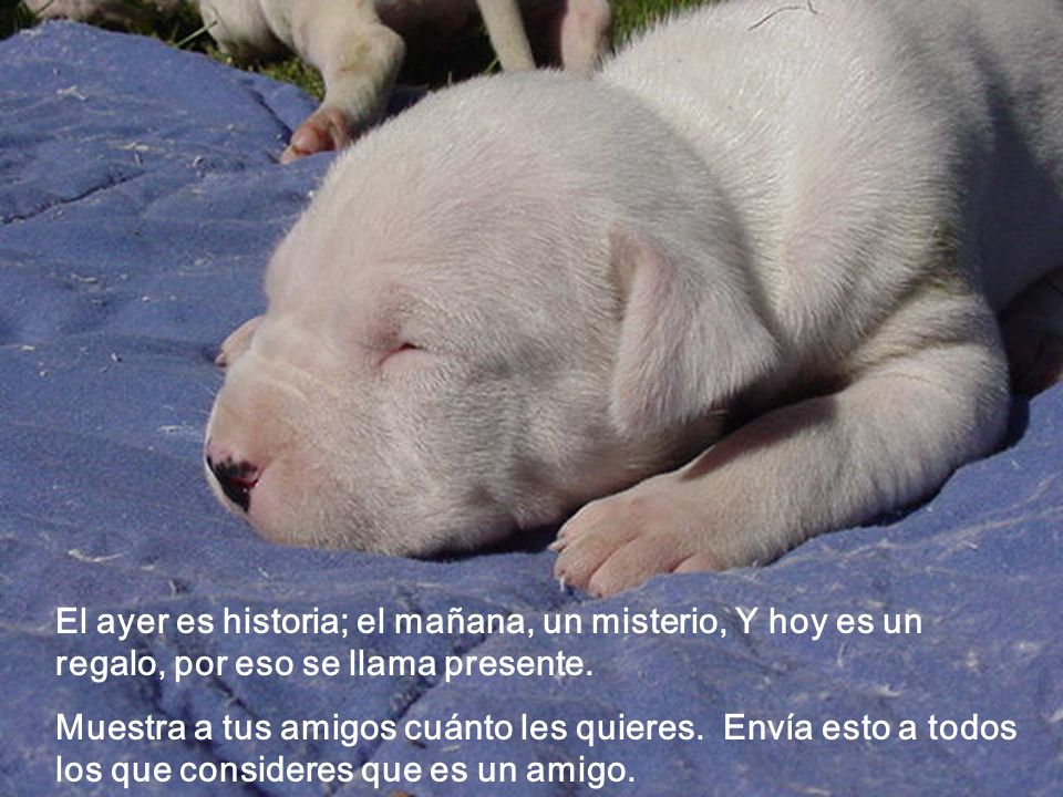 El ayer es historia; el mañana, un misterio, Y hoy es un regalo, por eso se llama presente.