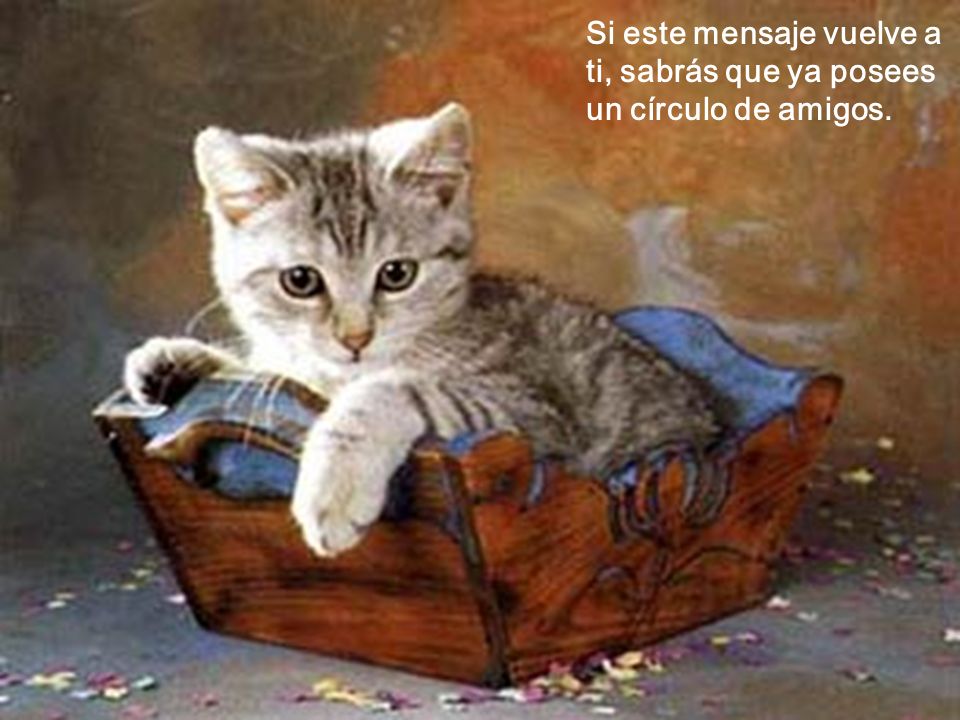 Si este mensaje vuelve a ti, sabrás que ya posees un círculo de amigos.