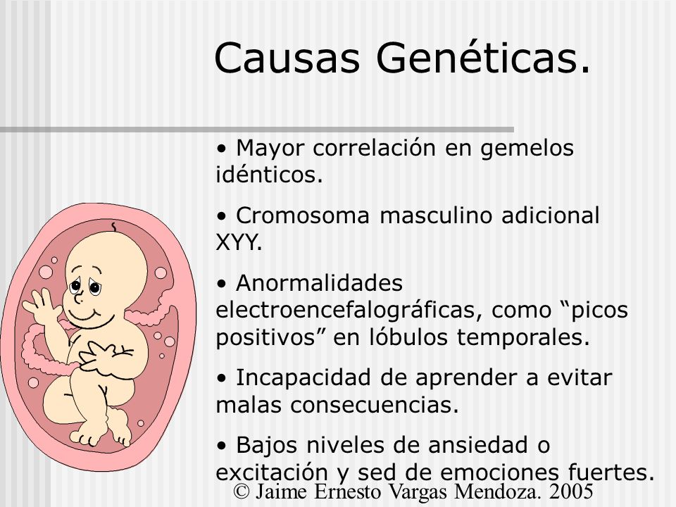 Causas Genéticas. Mayor correlación en gemelos idénticos.