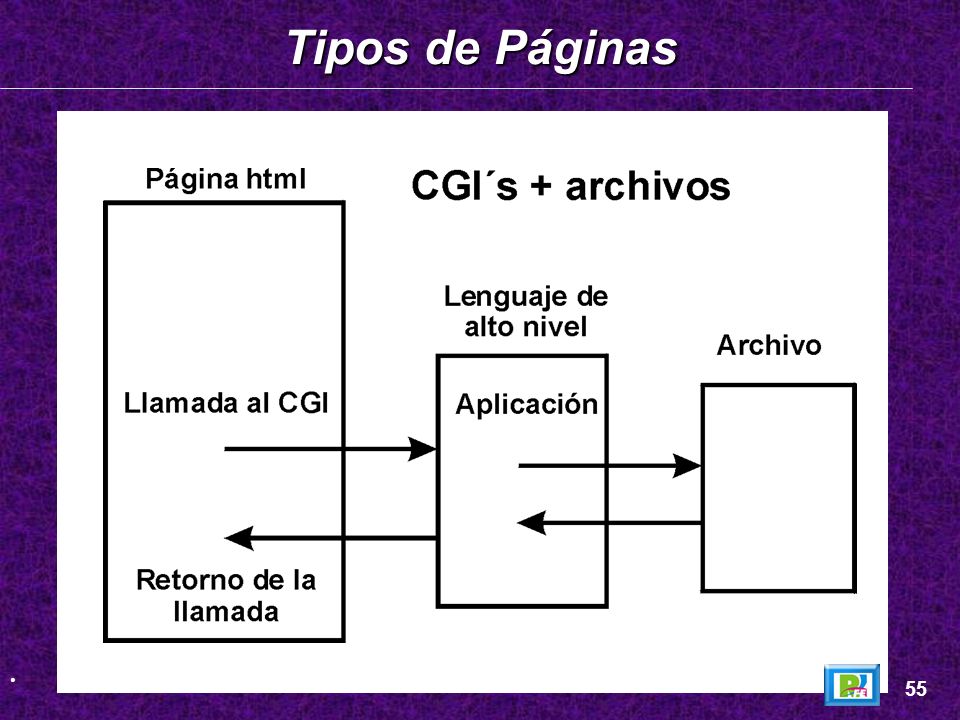 Tipos de Páginas _ 55