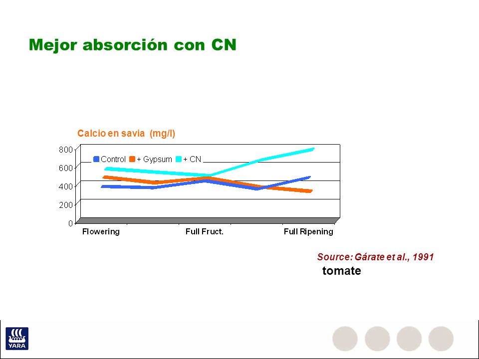 Mejor absorción con CN tomate Calcio en savia (mg/l)