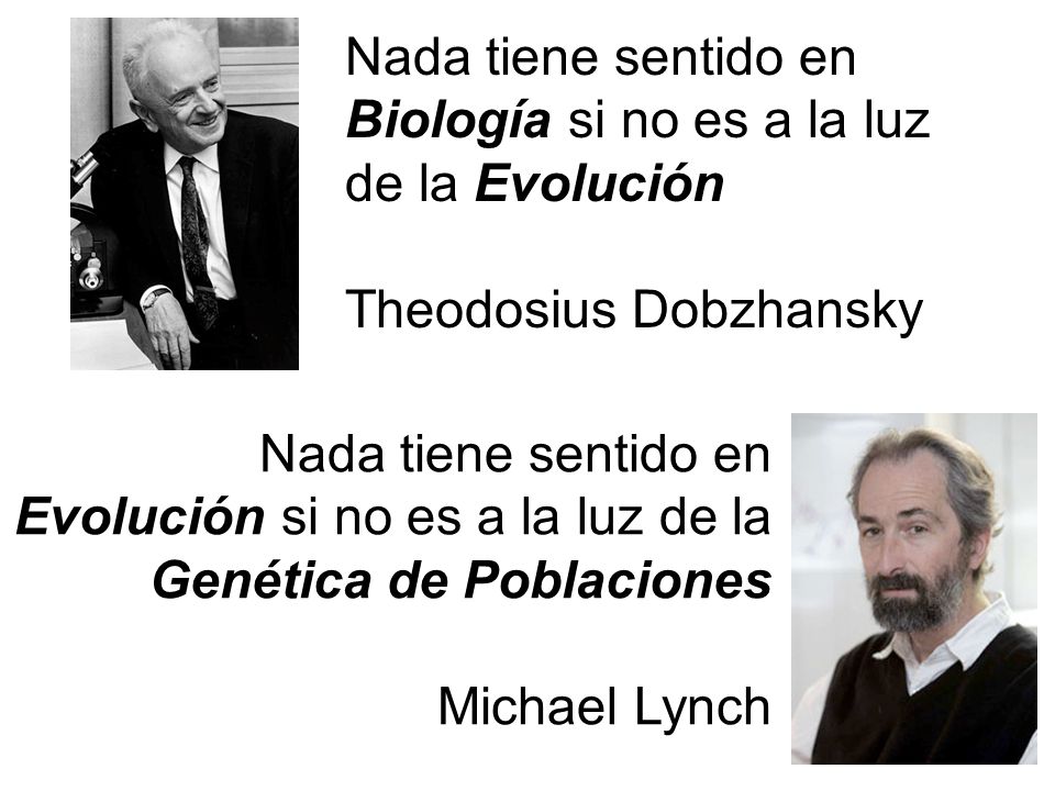 Biología si no es a la luz de la Evolución