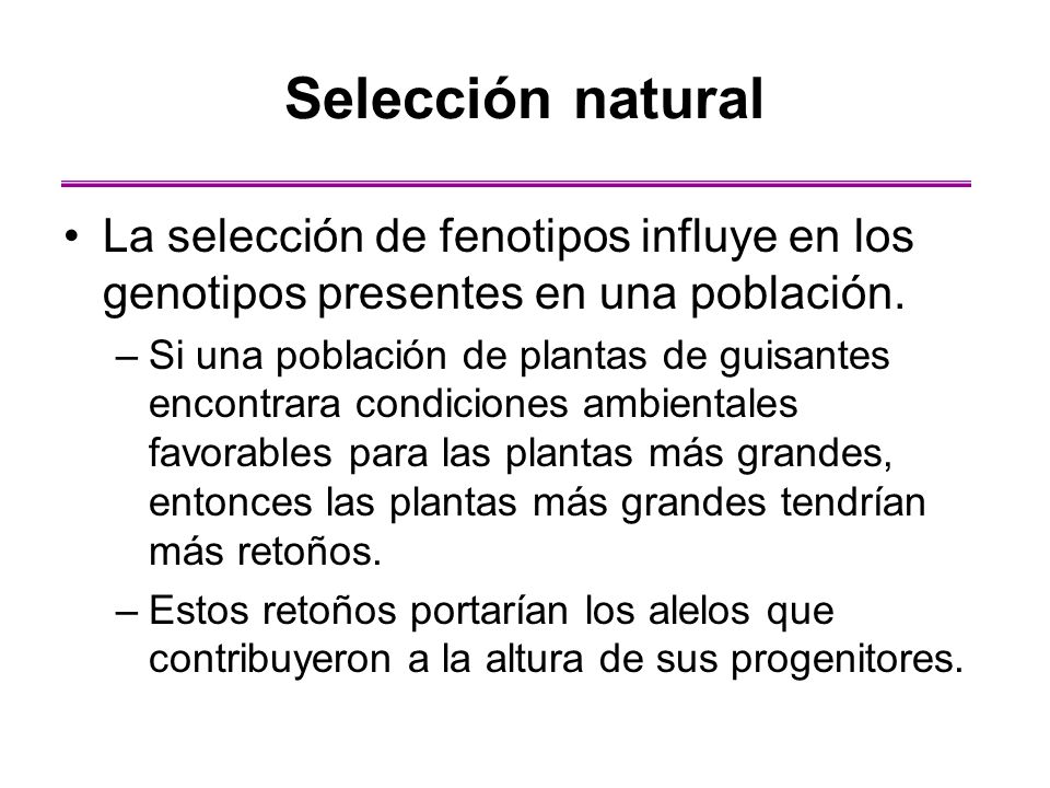 Selección natural La selección de fenotipos influye en los genotipos presentes en una población.