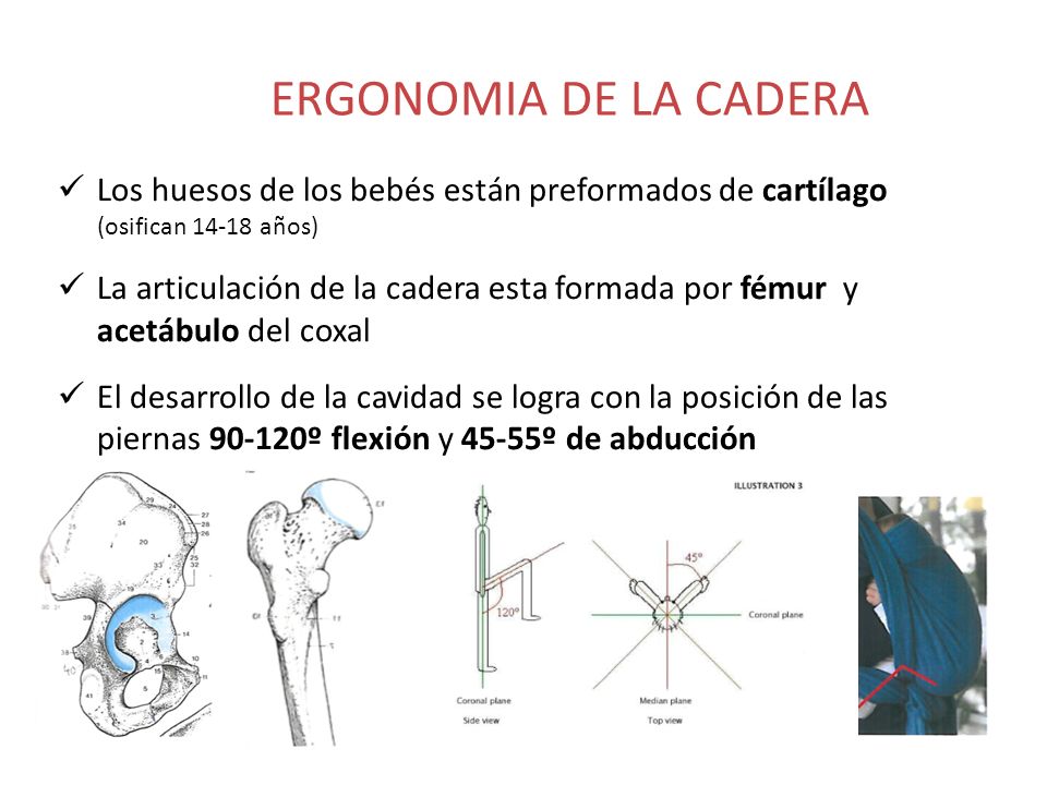 ERGONOMIA DE LA CADERA Los huesos de los bebés están preformados de cartílago (osifican años)