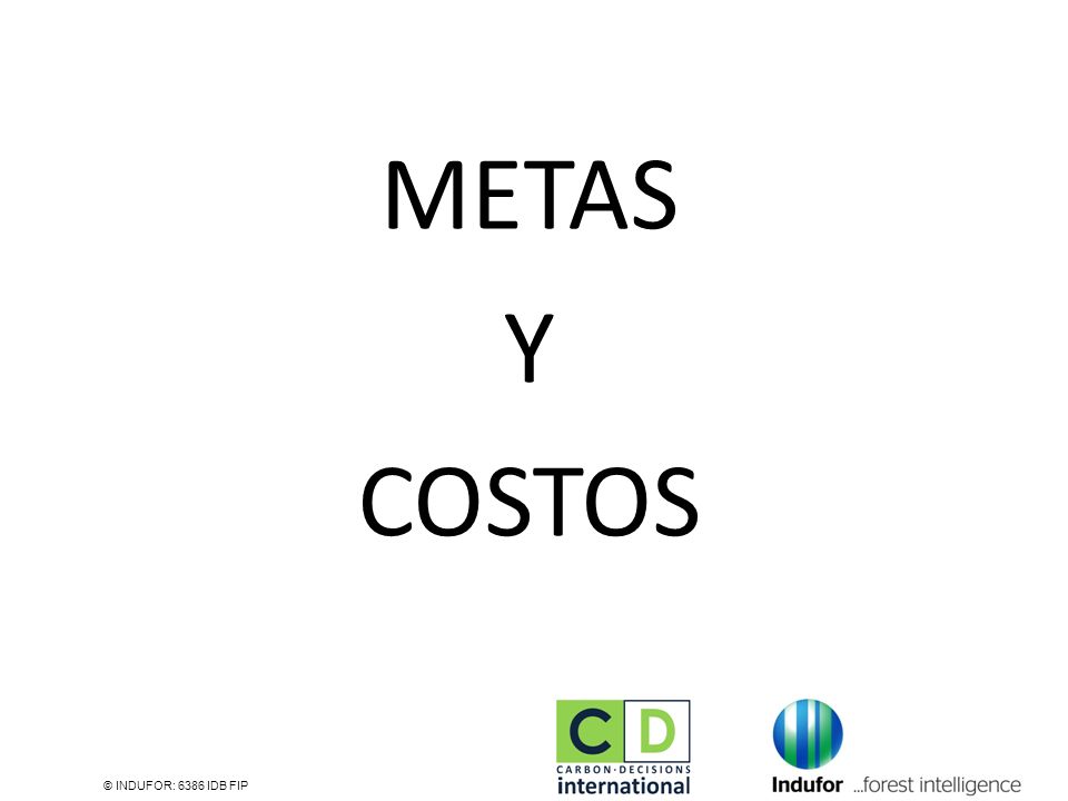 METAS Y COSTOS © INDUFOR: 6386 IDB FIP