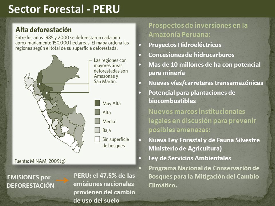 Sector Forestal - PERU Prospectos de inversiones en la Amazonía Peruana: Proyectos Hidroeléctricos.