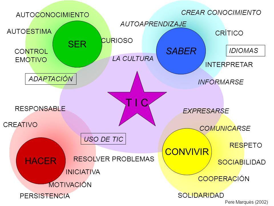 T I C SER SABER CONVIVIR HACER CREAR CONOCIMIENTO AUTOCONOCIMIENTO