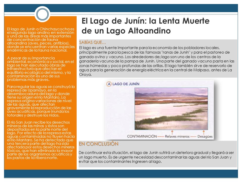 El Lago de Junín: la Lenta Muerte de un Lago Altoandino