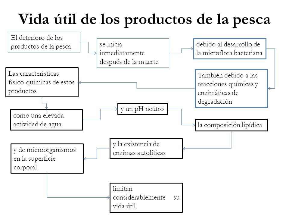 Vida útil de los productos de la pesca