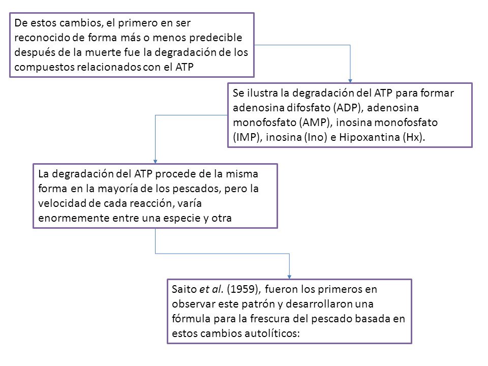 De estos cambios, el primero en ser reconocido de forma más o menos predecible después de la muerte fue la degradación de los compuestos relacionados con el ATP