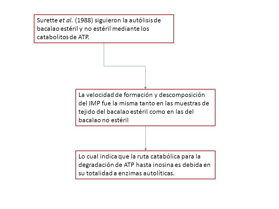 Surette et al. (1988) siguieron la autólisis de bacalao estéril y no estéril mediante los catabolitos de ATP.