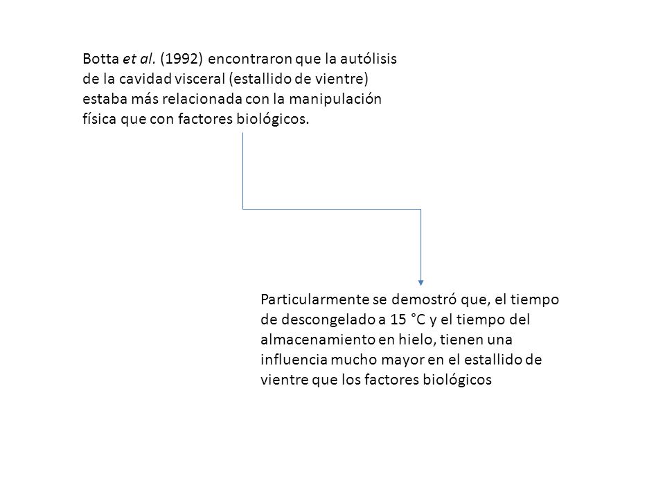 Botta et al. (1992) encontraron que la autólisis de la cavidad visceral (estallido de vientre) estaba más relacionada con la manipulación física que con factores biológicos.