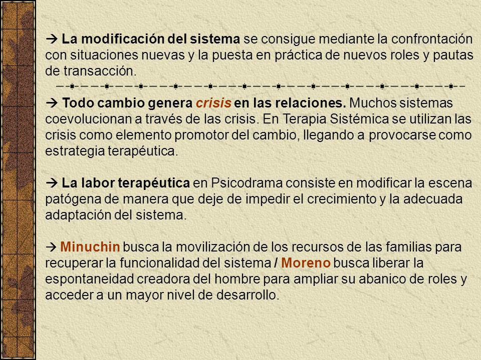  La modificación del sistema se consigue mediante la confrontación con situaciones nuevas y la puesta en práctica de nuevos roles y pautas de transacción.