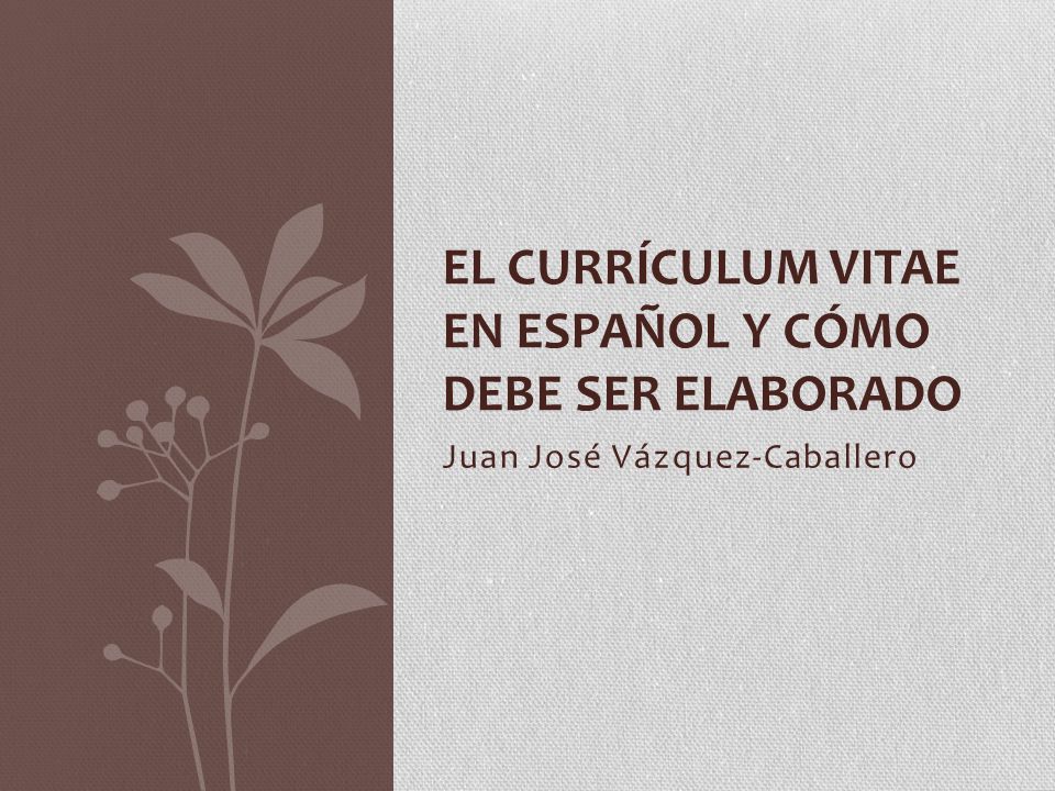 El Curriculum Vitae En Espanol Y Como Debe Ser Elaborado Ppt Video