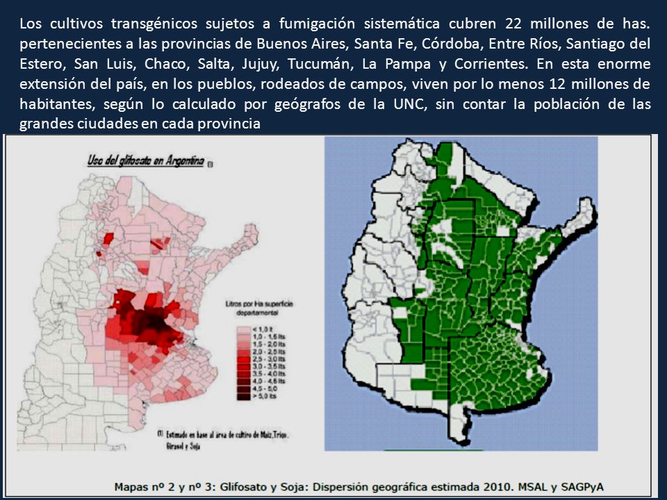 Los cultivos transgénicos sujetos a fumigación sistemática cubren 22 millones de has.