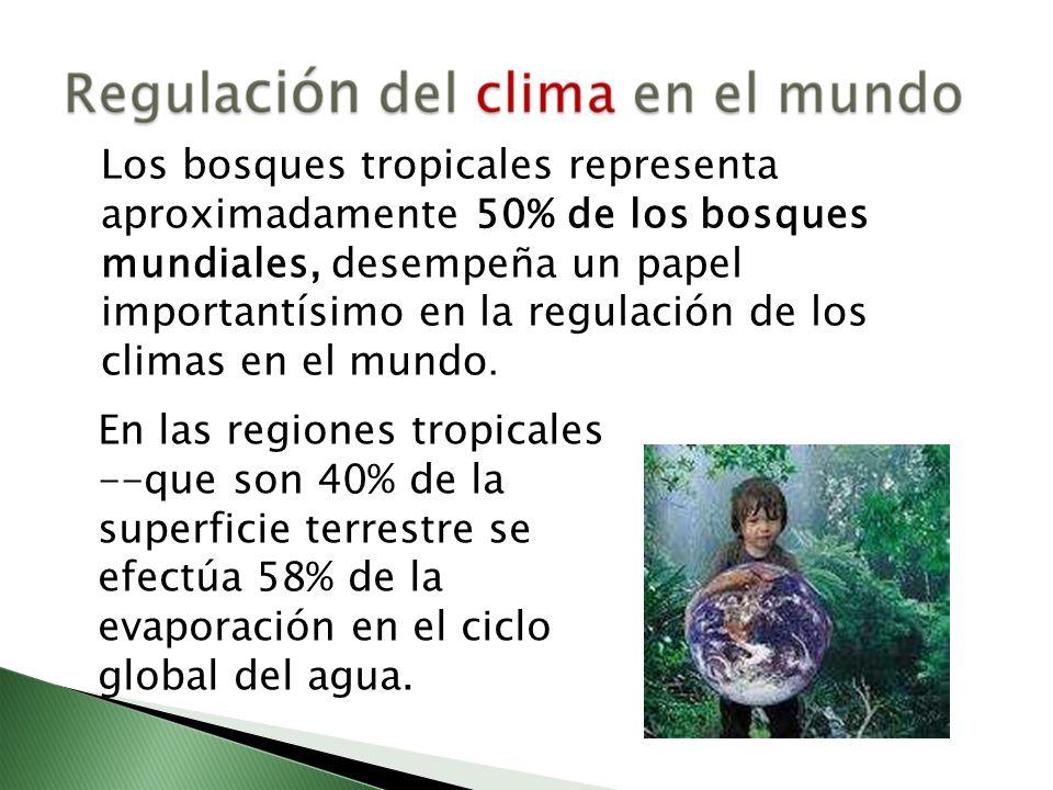 Los bosques tropicales representa aproximadamente 50% de los bosques mundiales, desempeña un papel importantísimo en la regulación de los climas en el mundo.