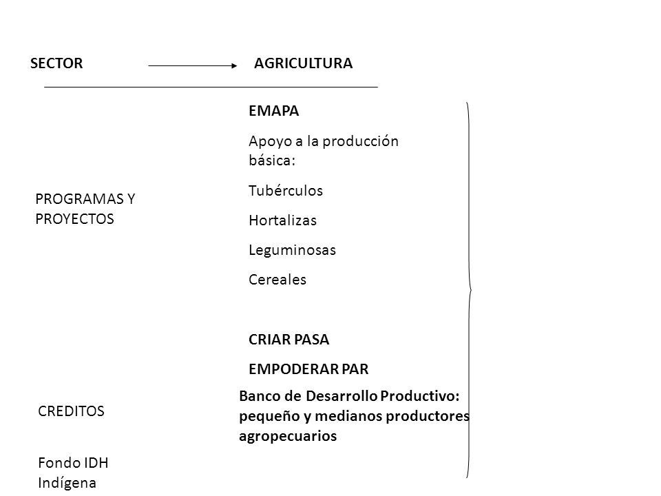 SECTOR AGRICULTURA. EMAPA. Apoyo a la producción básica: Tubérculos. Hortalizas. Leguminosas. Cereales.