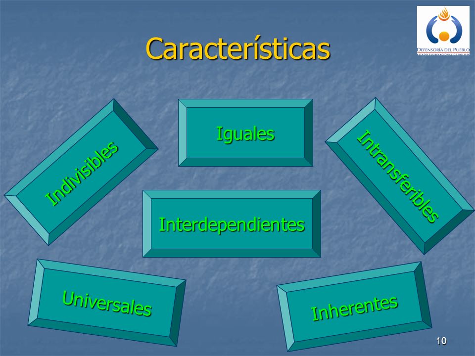 Características Iguales Intransferibles Indivisibles Interdependientes