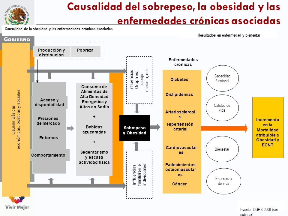Causalidad del sobrepeso, la obesidad y las enfermedades crónicas asociadas