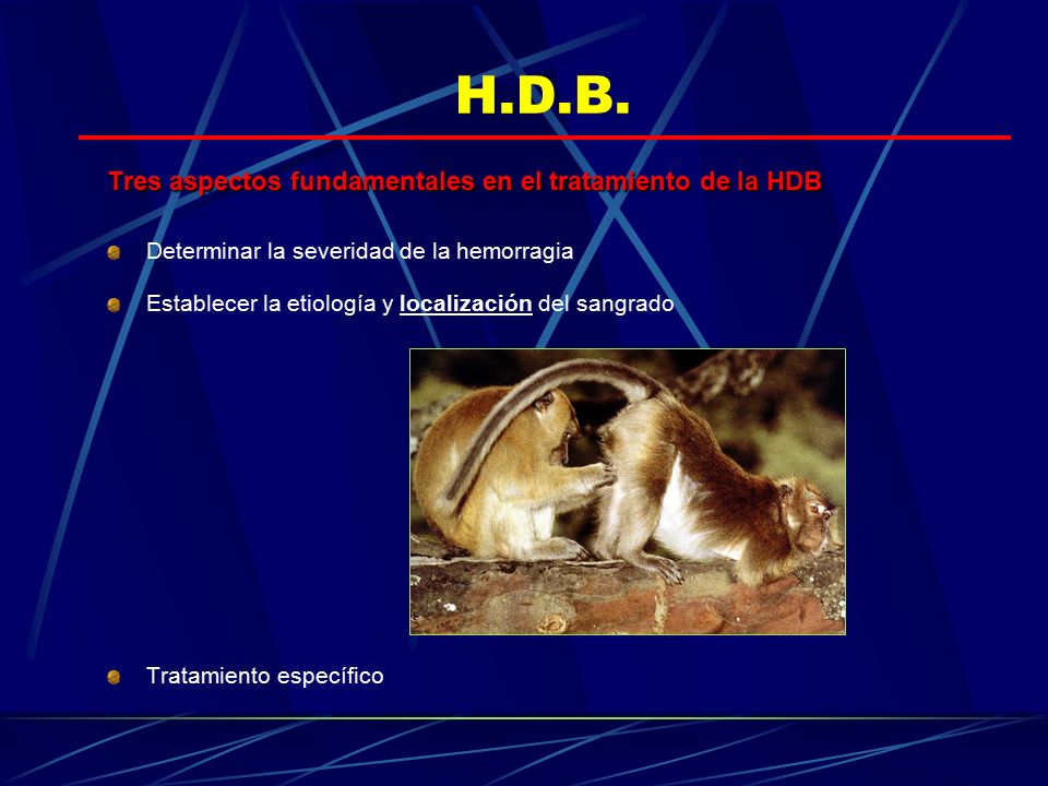 H.D.B. Tres aspectos fundamentales en el tratamiento de la HDB. Determinar la severidad de la hemorragia.