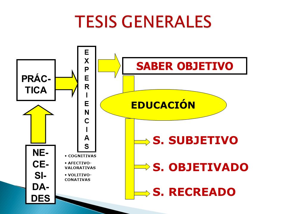 TESIS GENERALES SABER OBJETIVO S. SUBJETIVO S. OBJETIVADO S. RECREADO