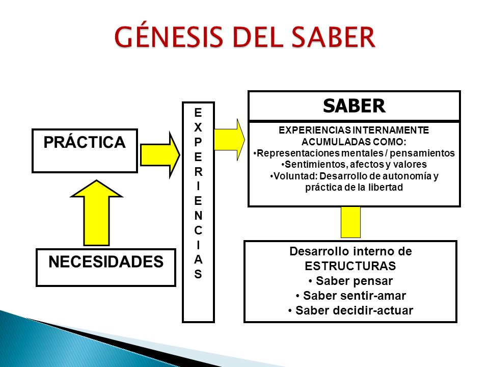 GÉNESIS DEL SABER SABER PRÁCTICA NECESIDADES E X P R I N C A S