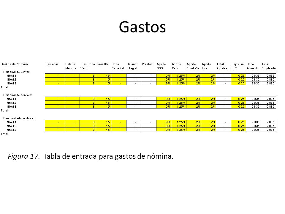 Gastos Figura 17. Tabla de entrada para gastos de nómina.