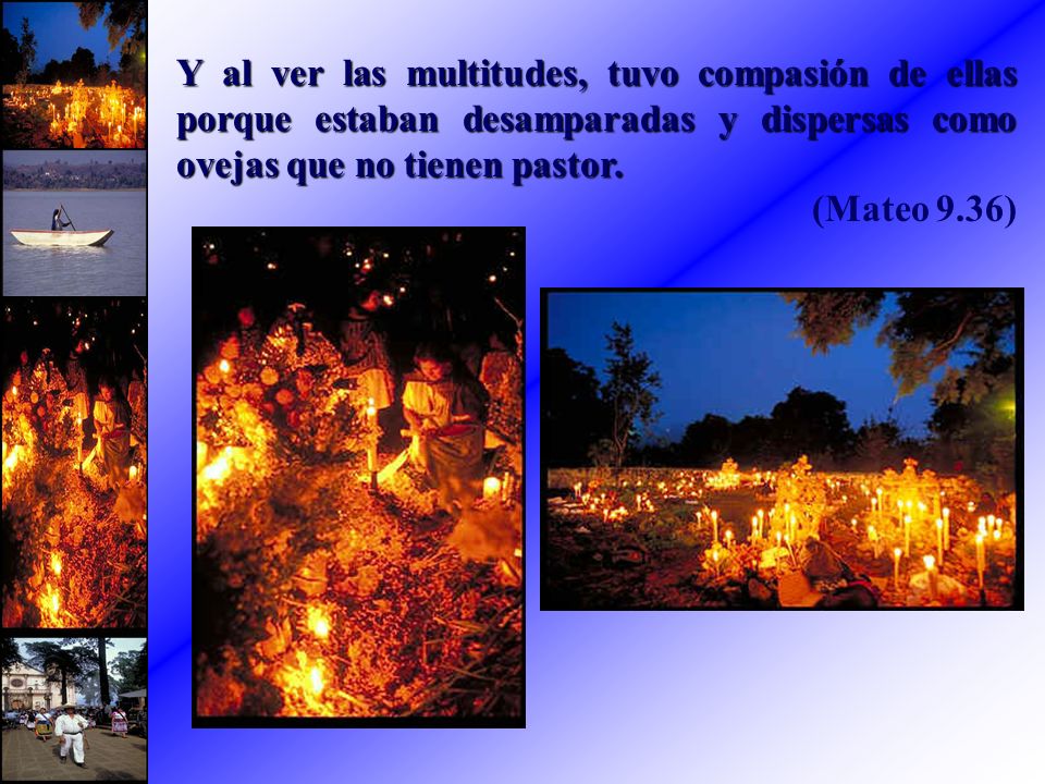 Y al ver las multitudes, tuvo compasión de ellas porque estaban desamparadas y dispersas como ovejas que no tienen pastor.