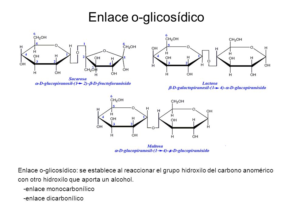 Enlace o-glicosídico Enlace o-glicosídico: se establece al reaccionar el grupo hidroxilo del carbono anomérico.