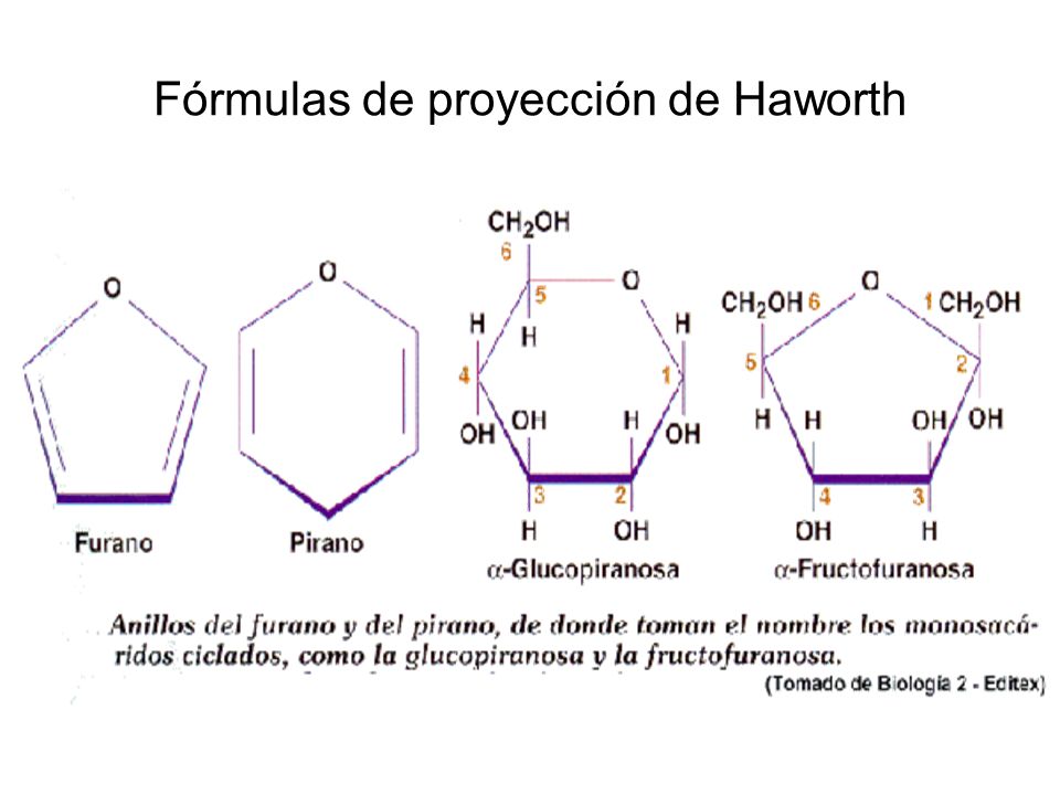 Fórmulas de proyección de Haworth