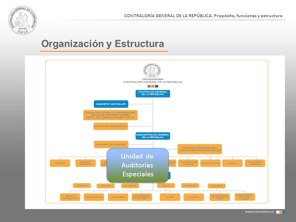 Organización y Estructura