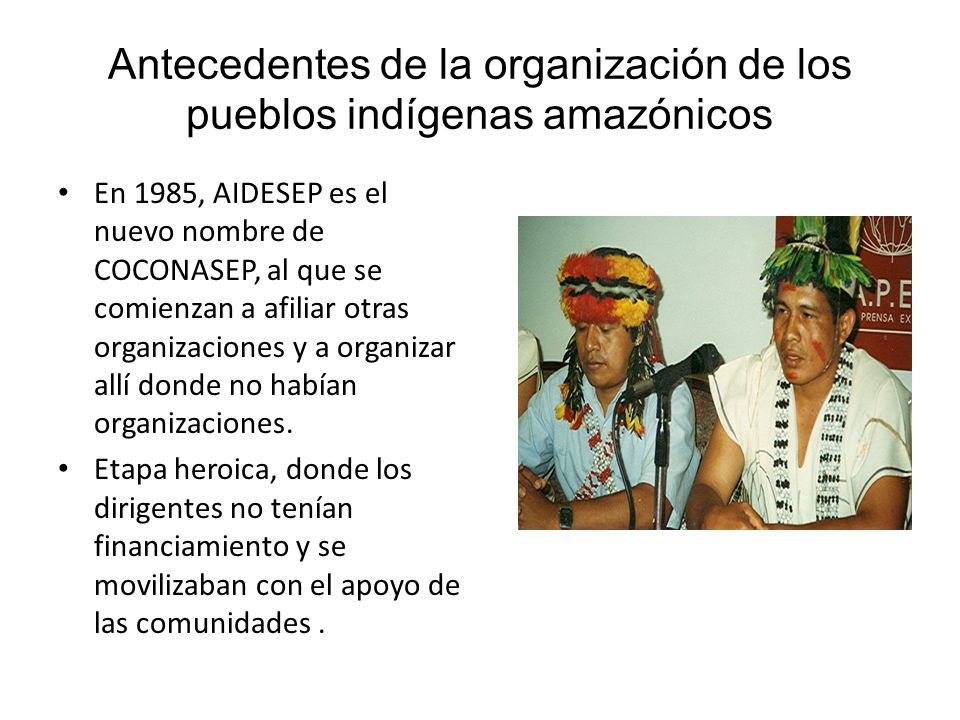 Antecedentes de la organización de los pueblos indígenas amazónicos