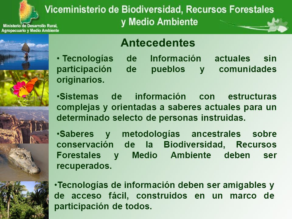 Antecedentes Tecnologías de Información actuales sin participación de pueblos y comunidades originarios.
