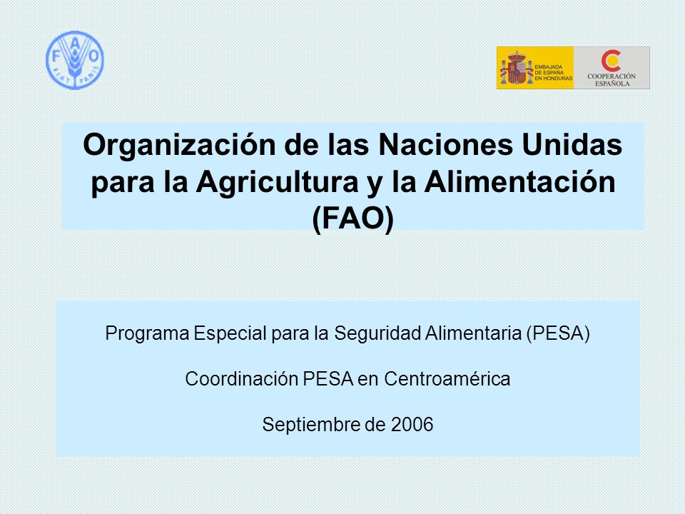 Organización de las Naciones Unidas para la Agricultura y la Alimentación (FAO)