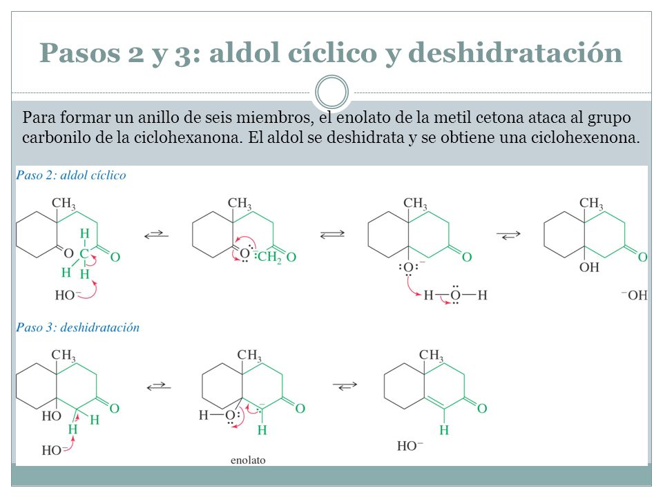 Pasos 2 y 3: aldol cíclico y deshidratación