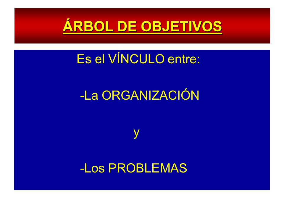 ÁRBOL DE OBJETIVOS Es el VÍNCULO entre: -La ORGANIZACIÓN y