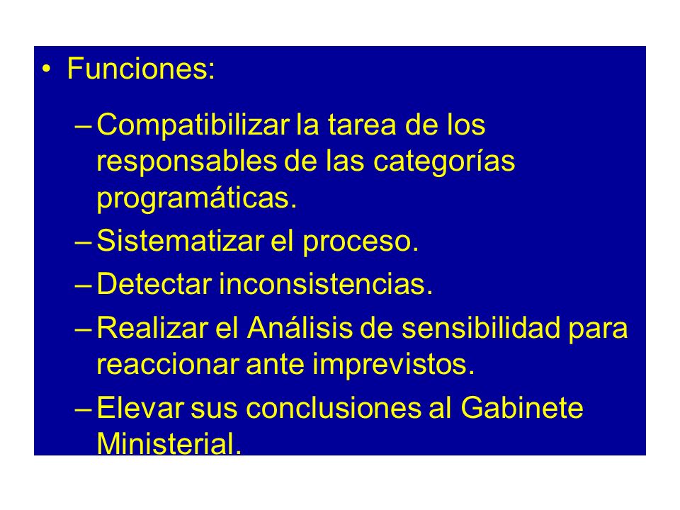 Funciones: Compatibilizar la tarea de los responsables de las categorías programáticas. Sistematizar el proceso.
