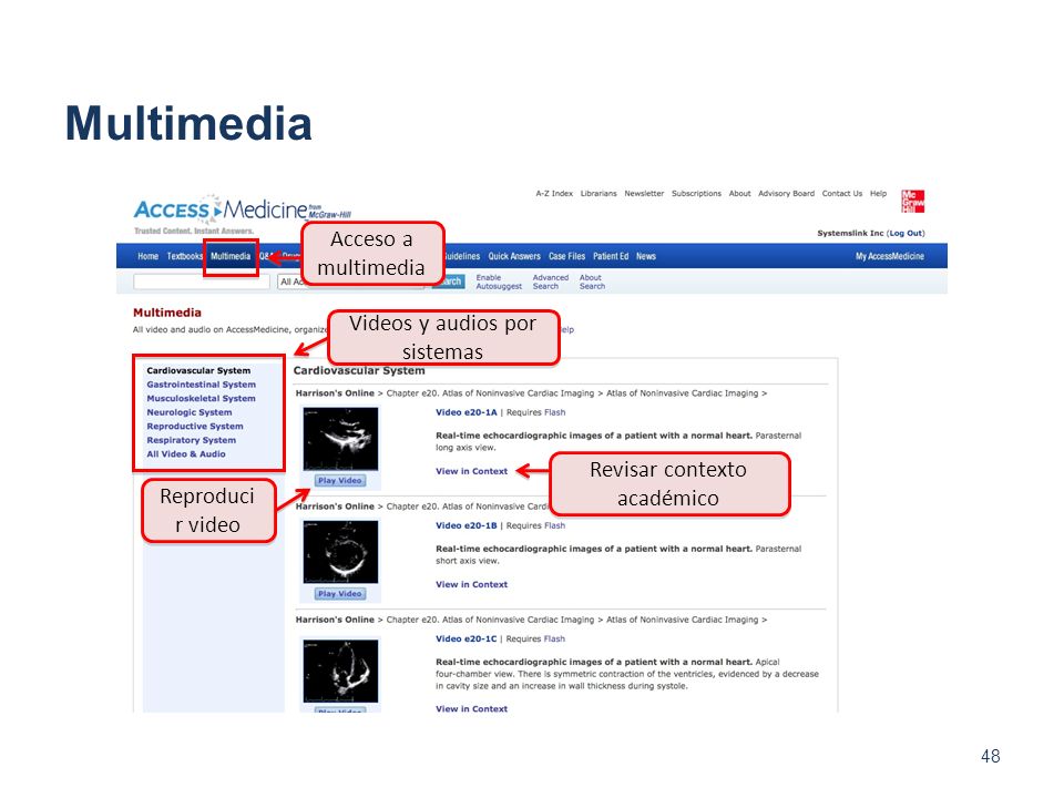 Multimedia Acceso a multimedia Videos y audios por sistemas