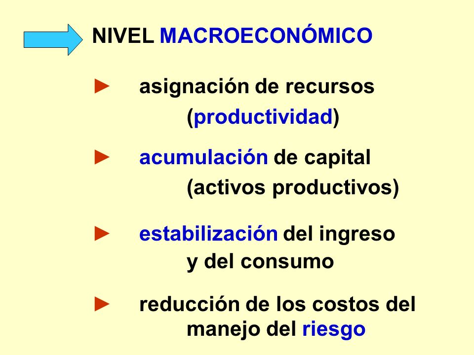 NIVEL MACROECONÓMICO ► asignación de recursos. (productividad) ► acumulación de capital. (activos productivos)