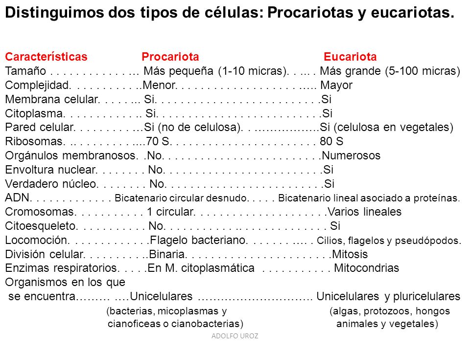 Distinguimos dos tipos de células: Procariotas y eucariotas.