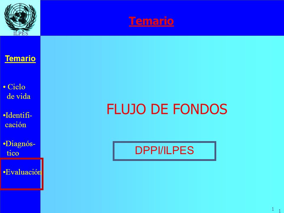 Temario FLUJO DE FONDOS DPPI/ILPES