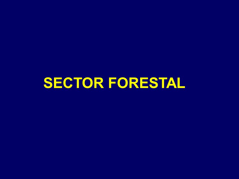 SECTOR FORESTAL