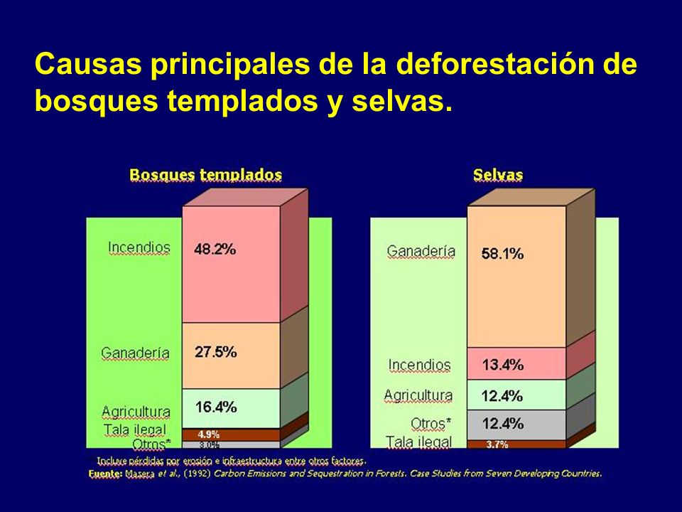 Causas principales de la deforestación de bosques templados y selvas.