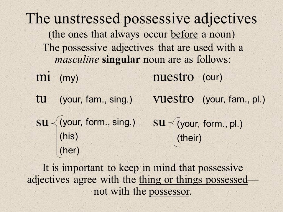 The unstressed possessive adjectives