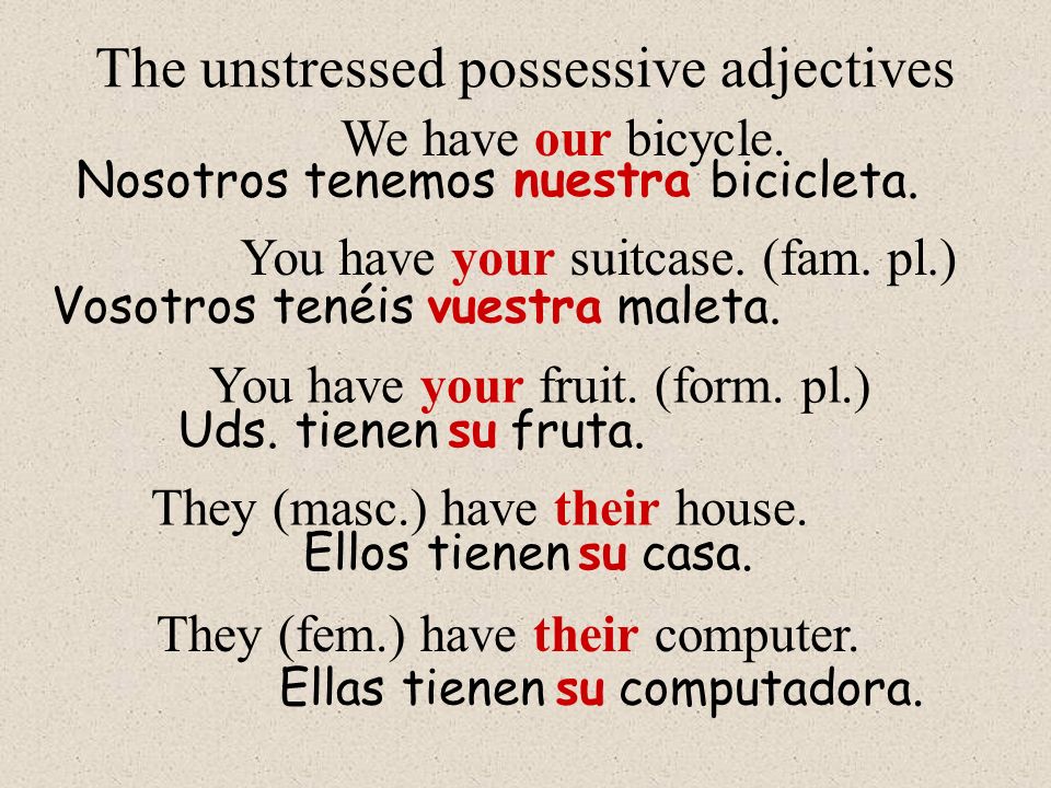 The unstressed possessive adjectives