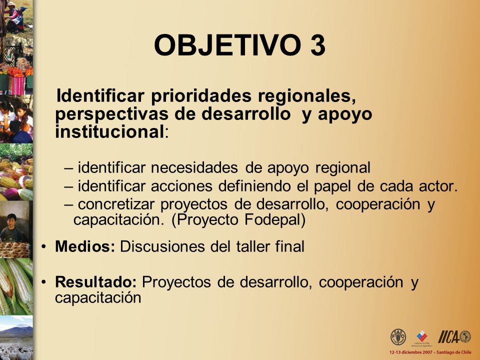 OBJETIVO 3 Identificar prioridades regionales, perspectivas de desarrollo y apoyo institucional: identificar necesidades de apoyo regional.